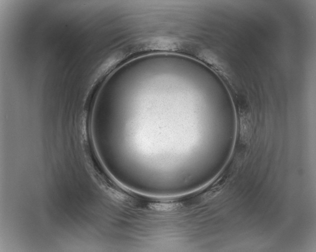 X0000068260679200604241232