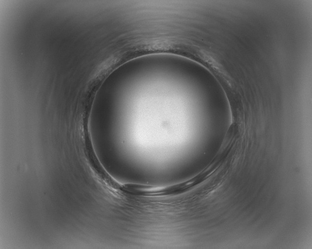 X0000068260681200604241232