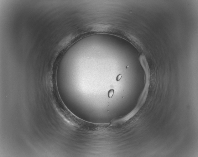 X0000068260682200604241232