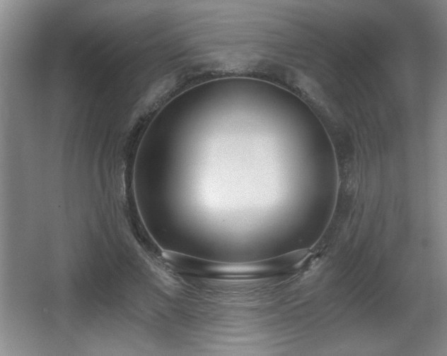 X0000068260685200604241232