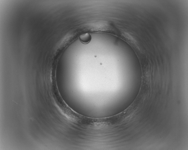 X0000068260686200604241232