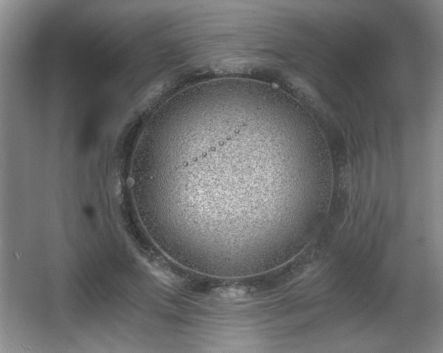 X0000068260687200604241232