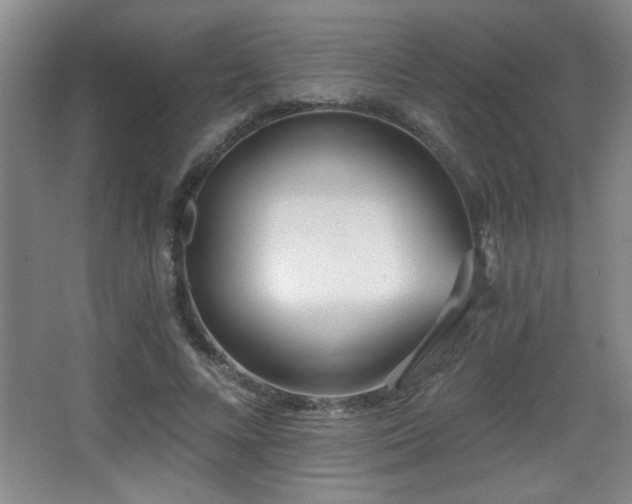 X0000068260688200604241232