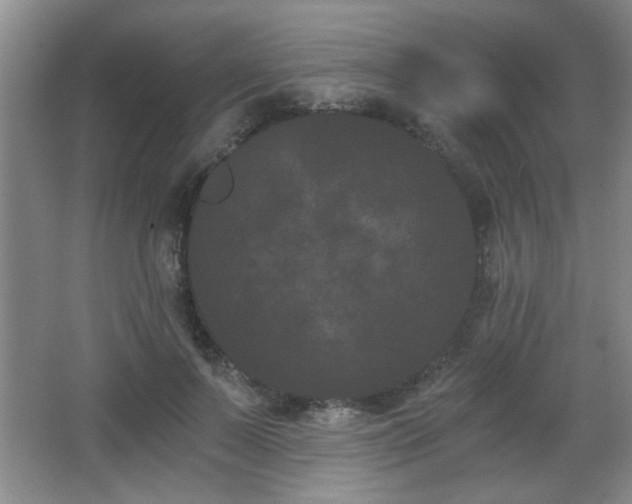 X0000068260695200604241232