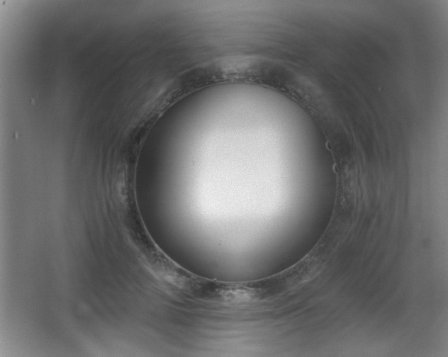 X0000068260698200604241232