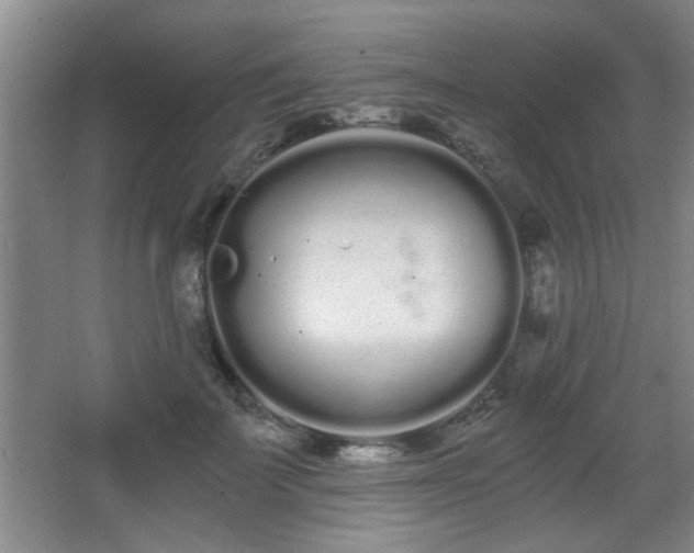 X0000068260699200604241232