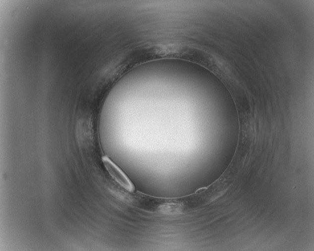 X0000068260700200604241232