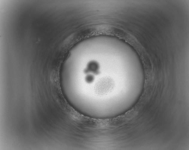 X0000068260701200604241232