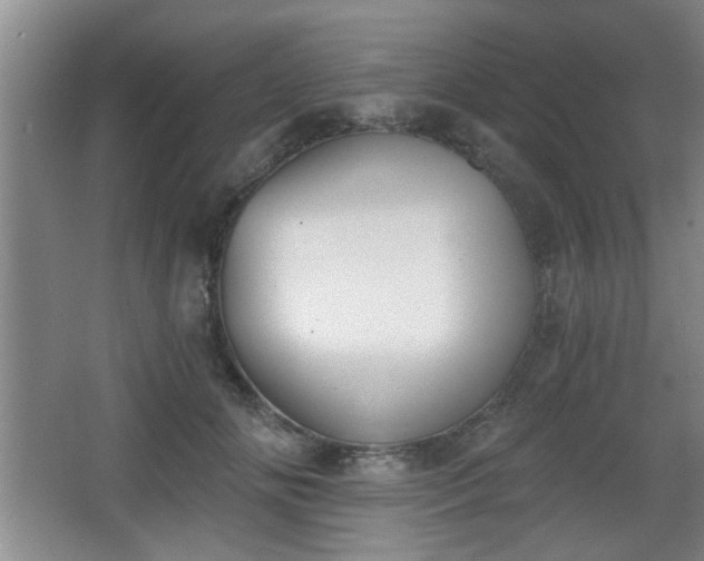 X0000068260702200604241232