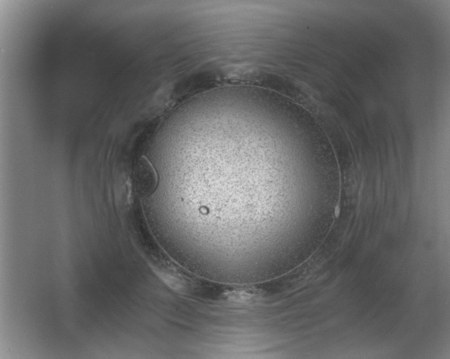 X0000068260703200604241232