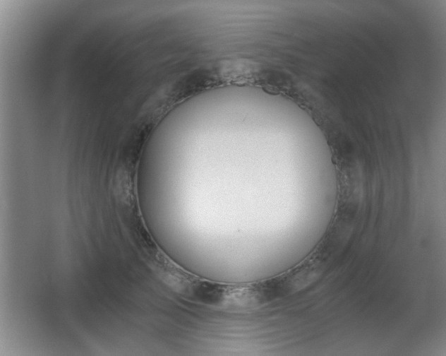 X0000068260705200604241232