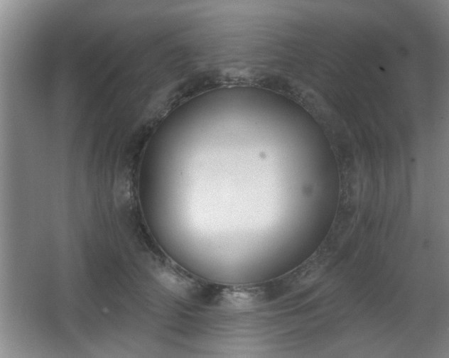 X0000068260706200604241232