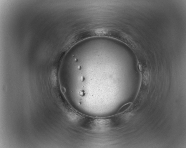 X0000068260707200604241232