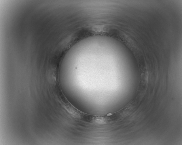 X0000068260710200604241232