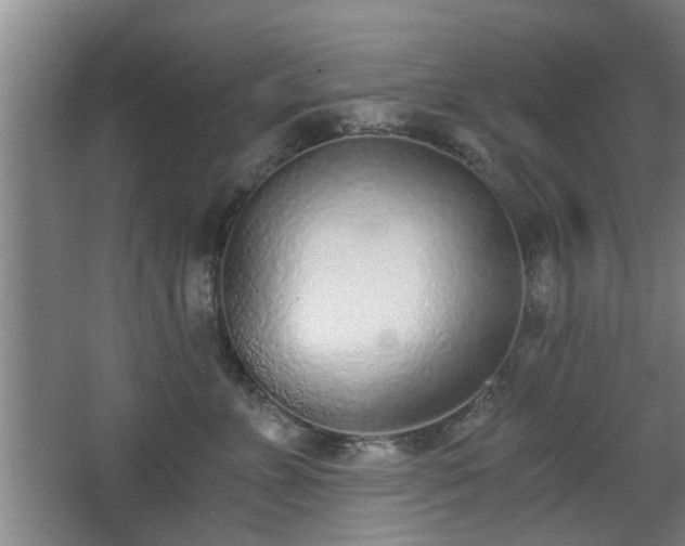 X0000068260715200604241232