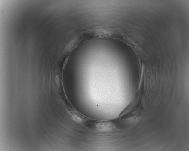 X0000068260716200604241232