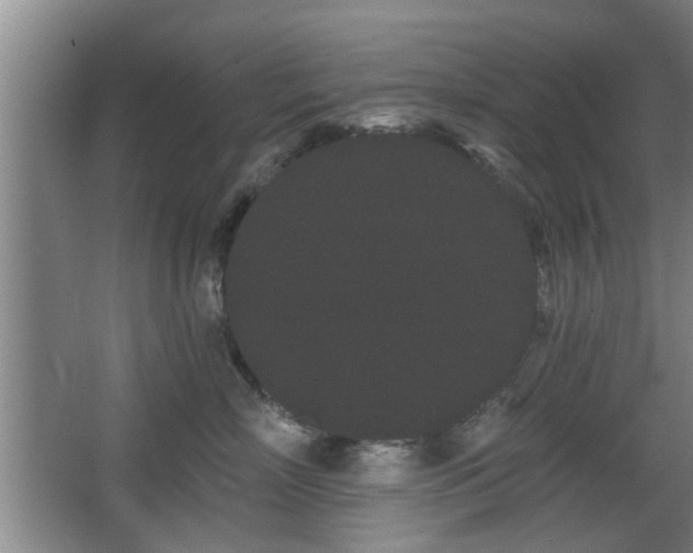 X0000068260718200604241231