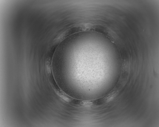 X0000068260719200604241231