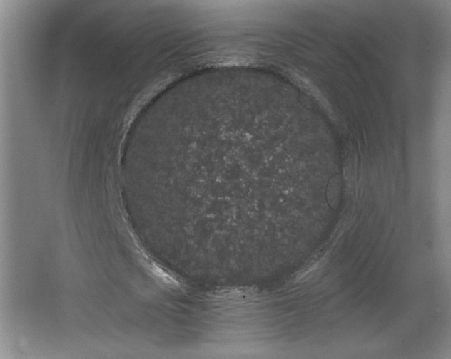 X0000068260721200604241231