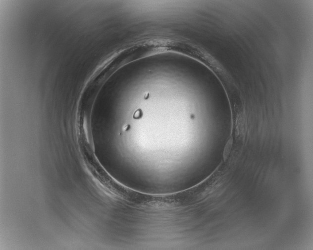 X0000068260722200604241231