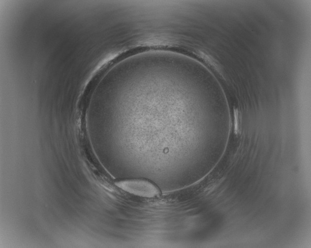 X0000068260723200604241231