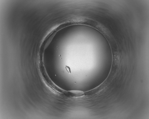 X0000068260726200604241231