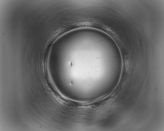 X0000068260729200604241231