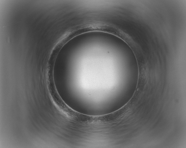 X0000068260730200604241231