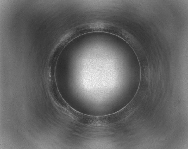 X0000068260731200604241231