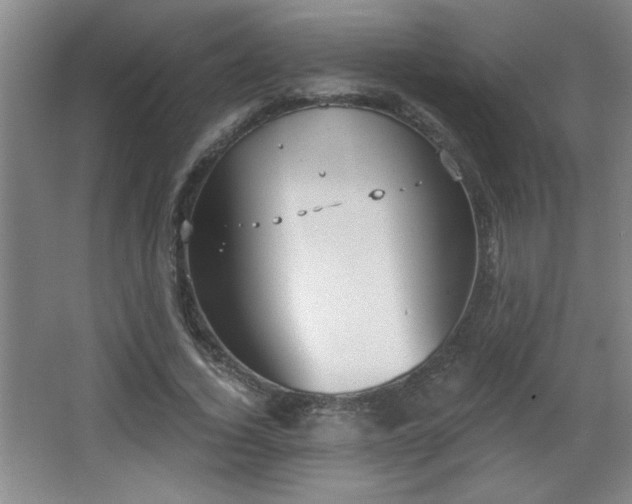 X0000068260732200604241231