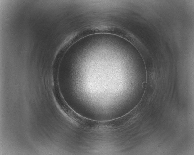 X0000068260734200604241231