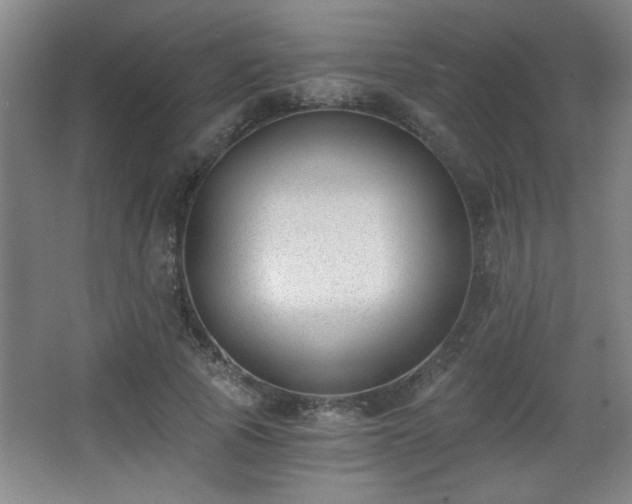 X0000068260737200604241231