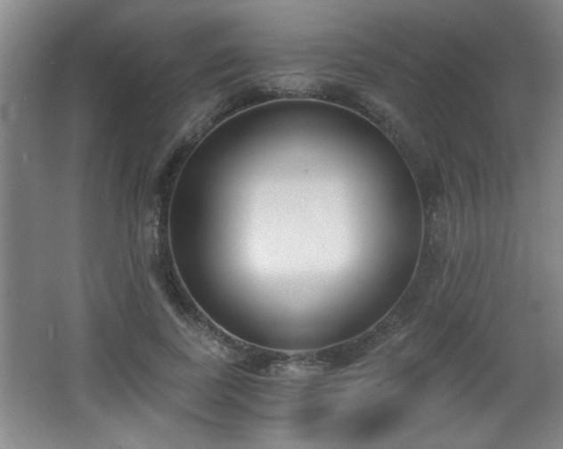 X0000068260739200604241231