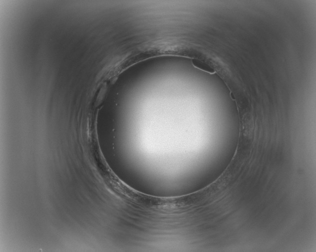 X0000068260740200604241231