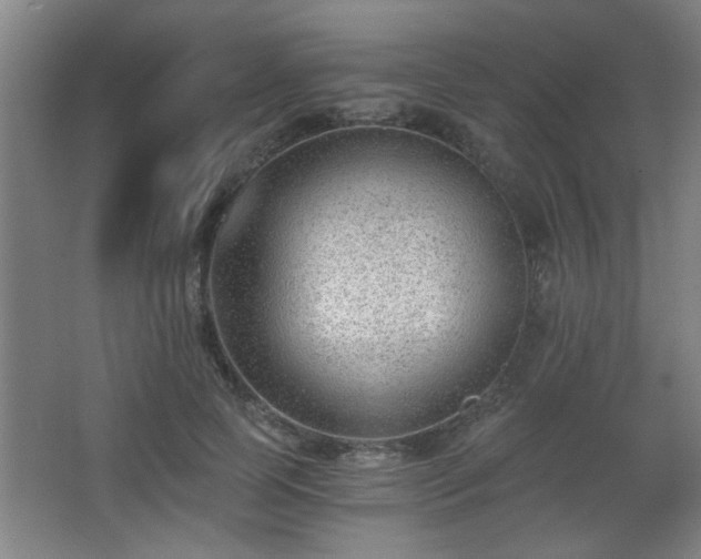 X0000068260745200604241231