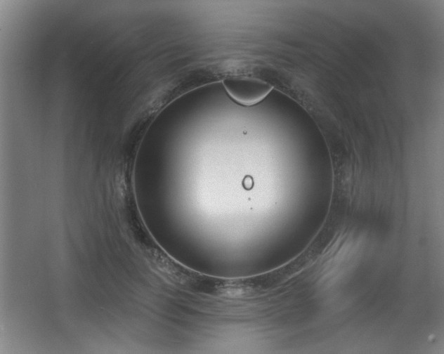 X0000068260746200604241231