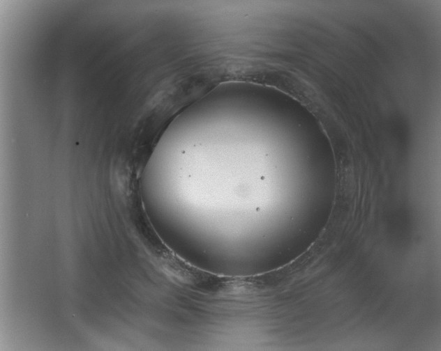 X0000068260750200604241231