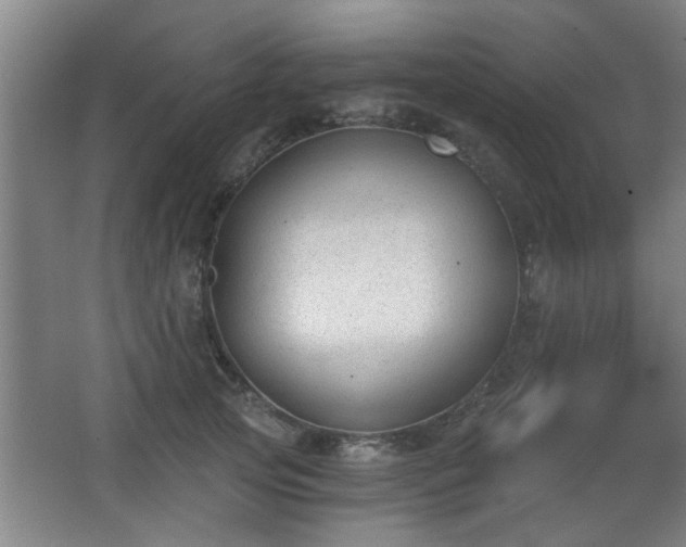 X0000068260753200604241231