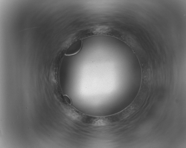 X0000068260755200604241231