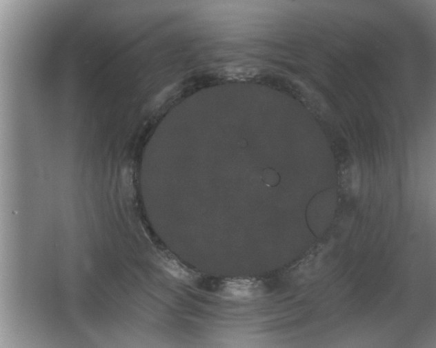 X0000068260757200604241231