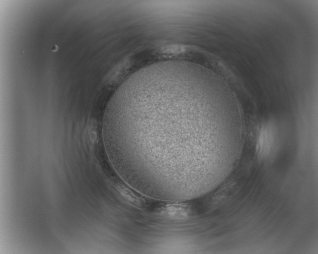 X0000068260758200604241231