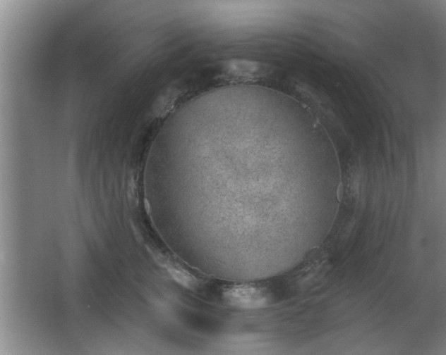 X0000068260759200604241231