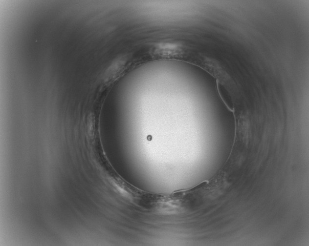 X0000068260760200604241231