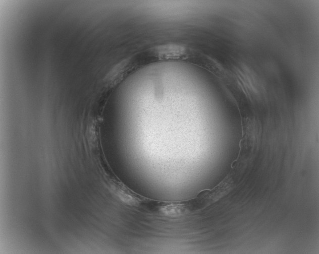 X0000068260761200604241231