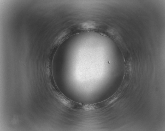 X0000068260762200604241231