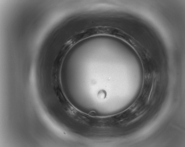 X0000068260765200604241231