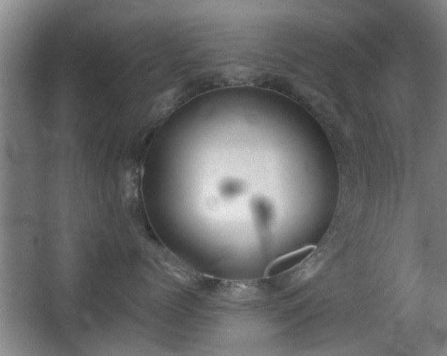 X0000068260768200604241231