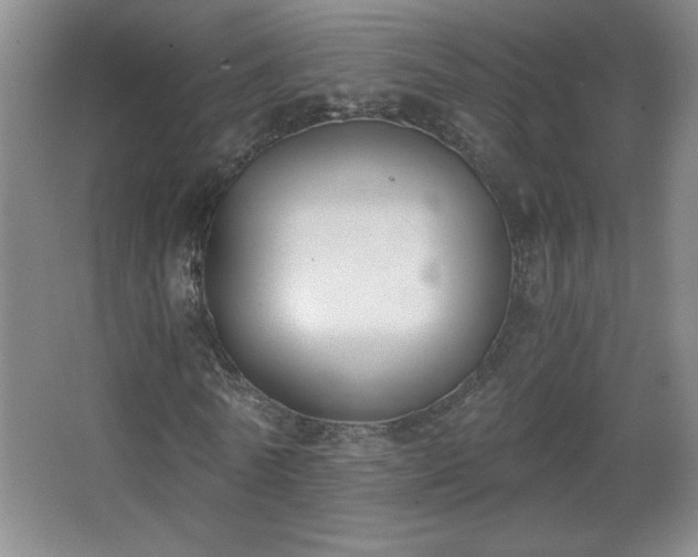 X0000068260770200604241231