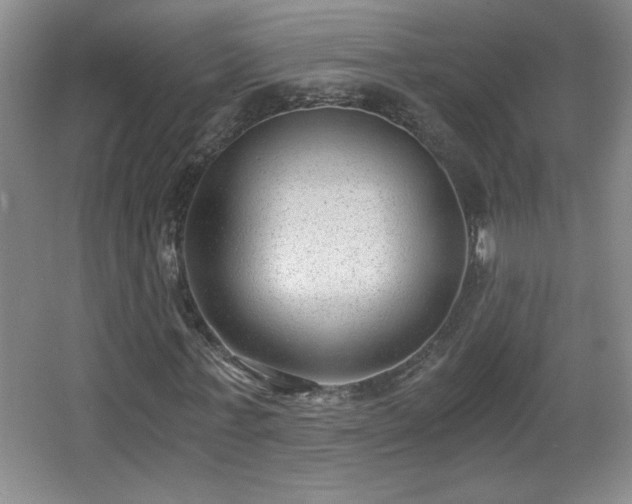 X0000068260771200604241231