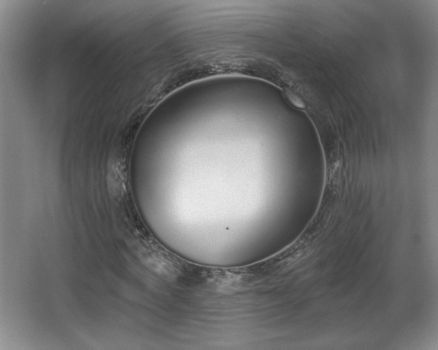 X0000068260772200604241231